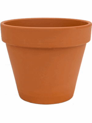 Terra Cotta