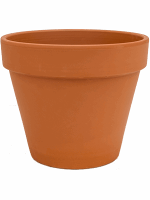 Terra Cotta