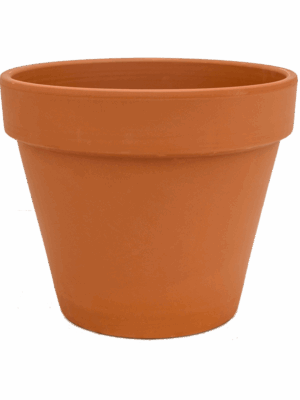 Terra Cotta