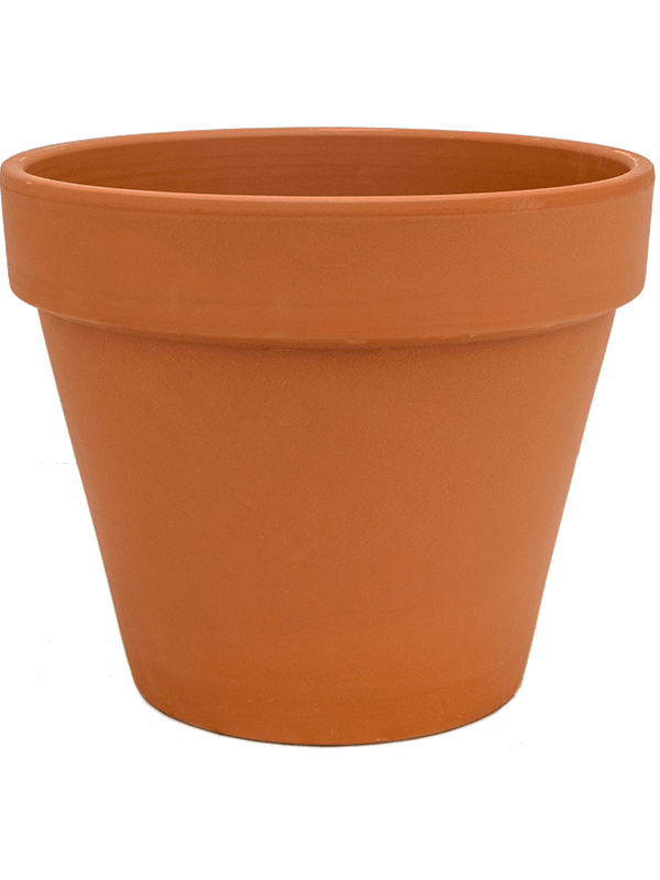 Terra Cotta, Den Daas