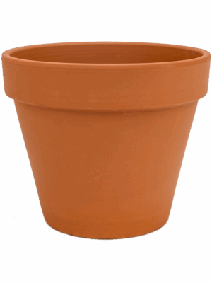 Terra Cotta
