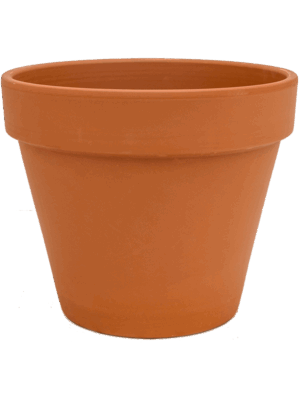 Terra Cotta
