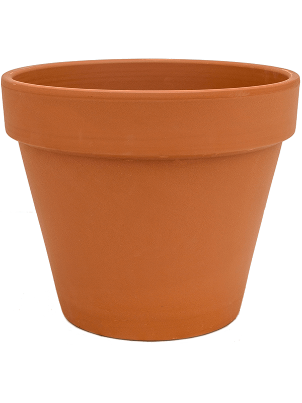 Terra Cotta, Den Daas