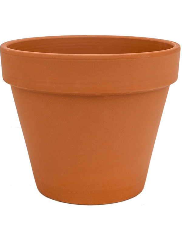 Terra Cotta, Den Daas