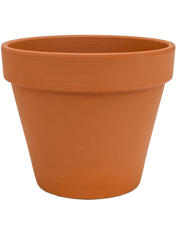 Terra Cotta, Den Daas