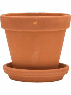 Terra Cotta
