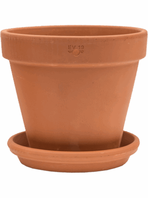 Terra Cotta
