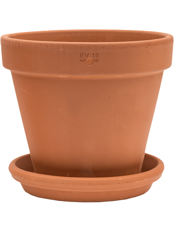Terra Cotta, Den Daas