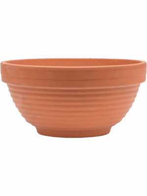 Terra Cotta