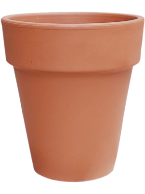 Terra Cotta