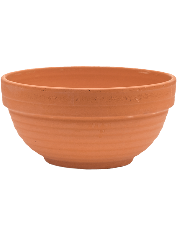 Terra Cotta, Den Daas