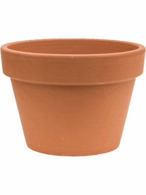 Terra Cotta