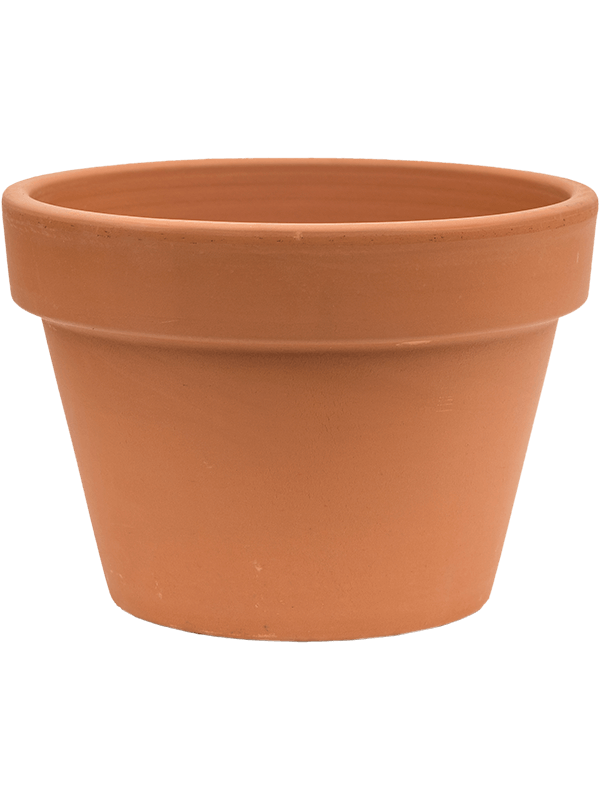 Terra Cotta, Den Daas