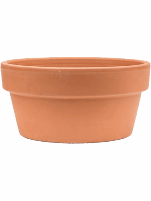 Terra Cotta