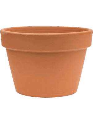 Terra Cotta