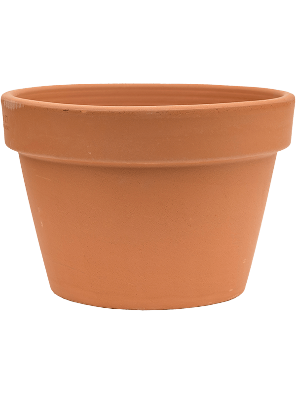 Terra Cotta, Den Daas
