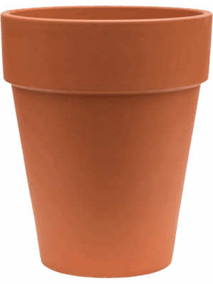 Terra Cotta