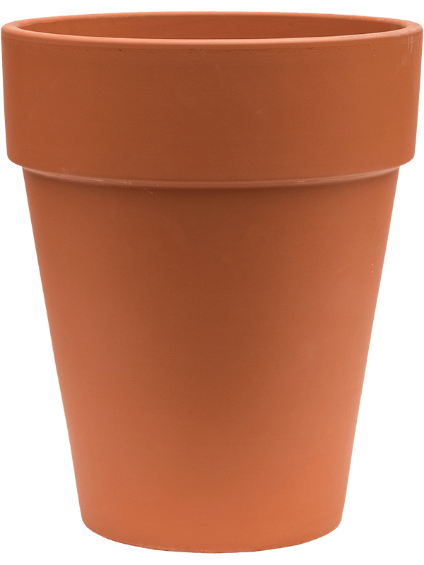 Terra Cotta, Den Daas