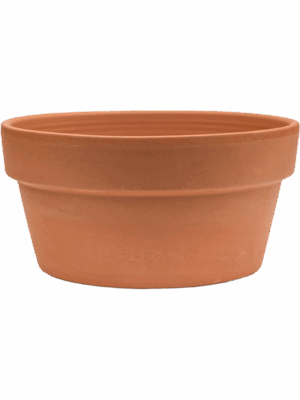 Terra Cotta