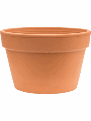 Terra Cotta