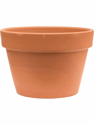 Terra Cotta