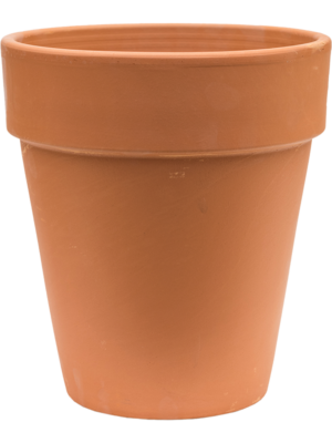 Terra Cotta