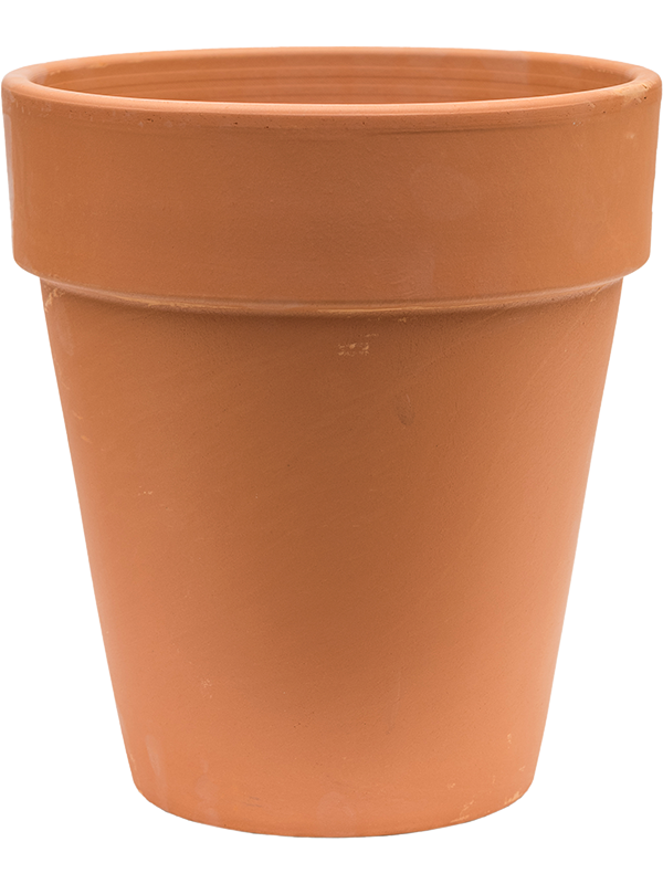 Terra Cotta, Den Daas