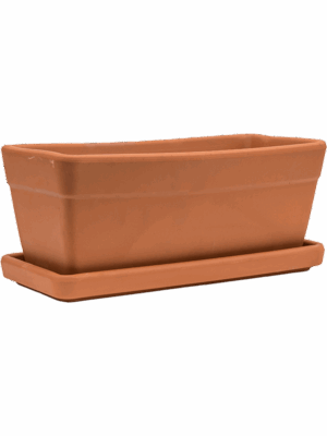 Terra Cotta