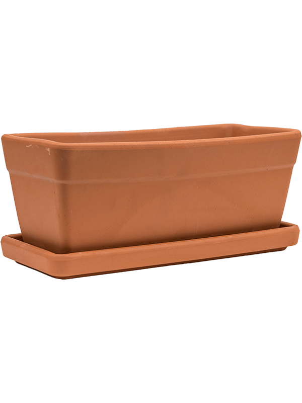 Terra Cotta, Den Daas