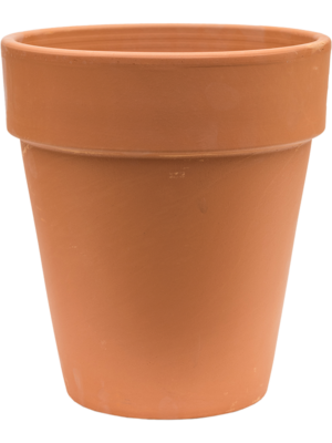 Terra Cotta