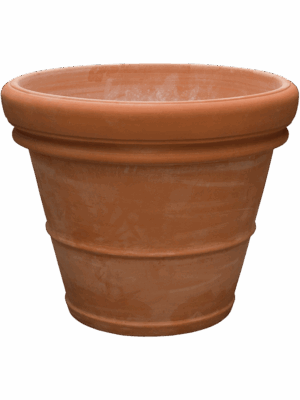 Terra Cotta