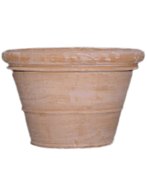 Terra Cotta