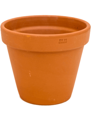 Terra Cotta