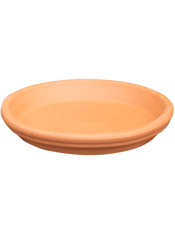 Terra Cotta