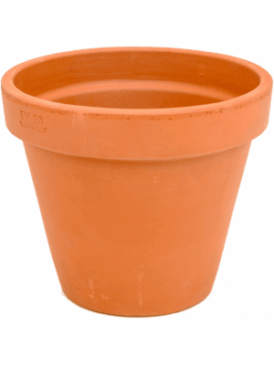 Terra Cotta