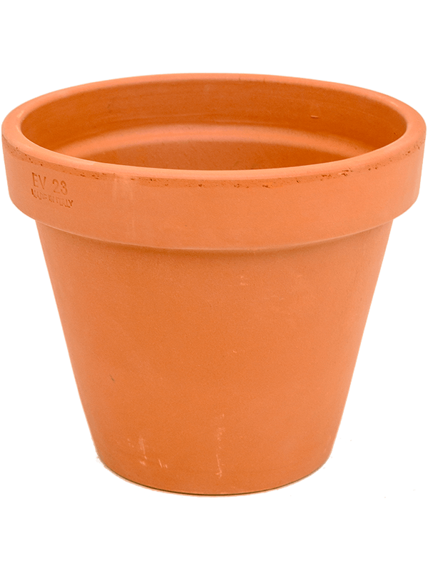 Terra Cotta, Den Daas