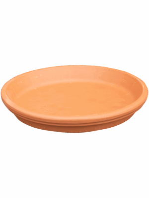 Terra Cotta