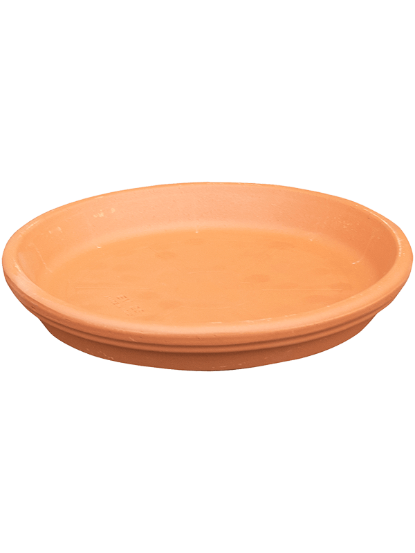 Terra Cotta