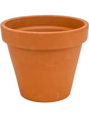 Terra Cotta