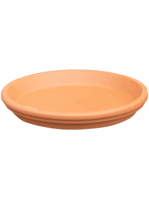 Terra Cotta