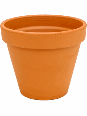 Terra Cotta