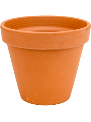 Terra Cotta