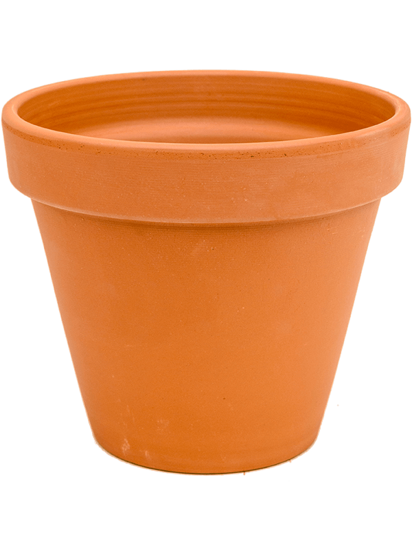 Terra Cotta, Den Daas