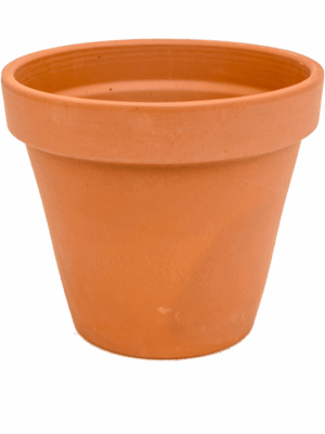 Terra Cotta