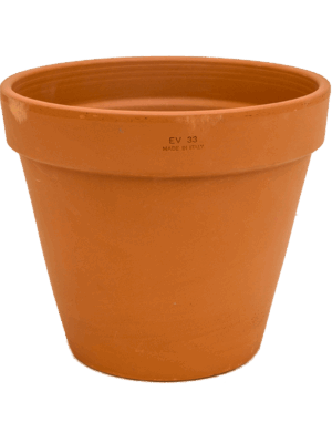 Terra Cotta