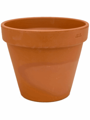 Terra cotta
