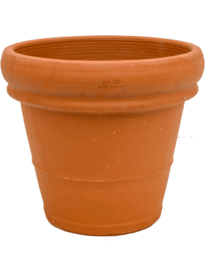 Terra Cotta