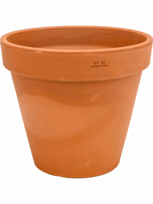 Terra Cotta