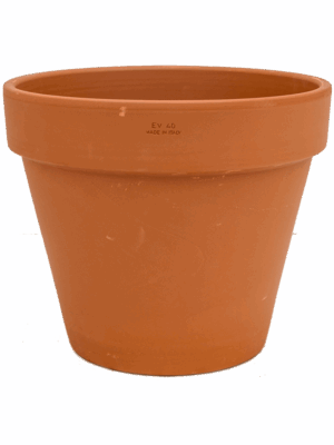 Terra Cotta
