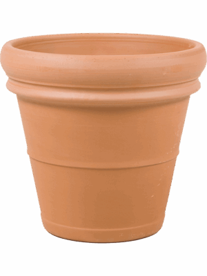 Terra Cotta